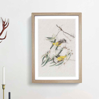 Prothonotary Warbler Birds by John Audubon - Picture Frame Painting Print