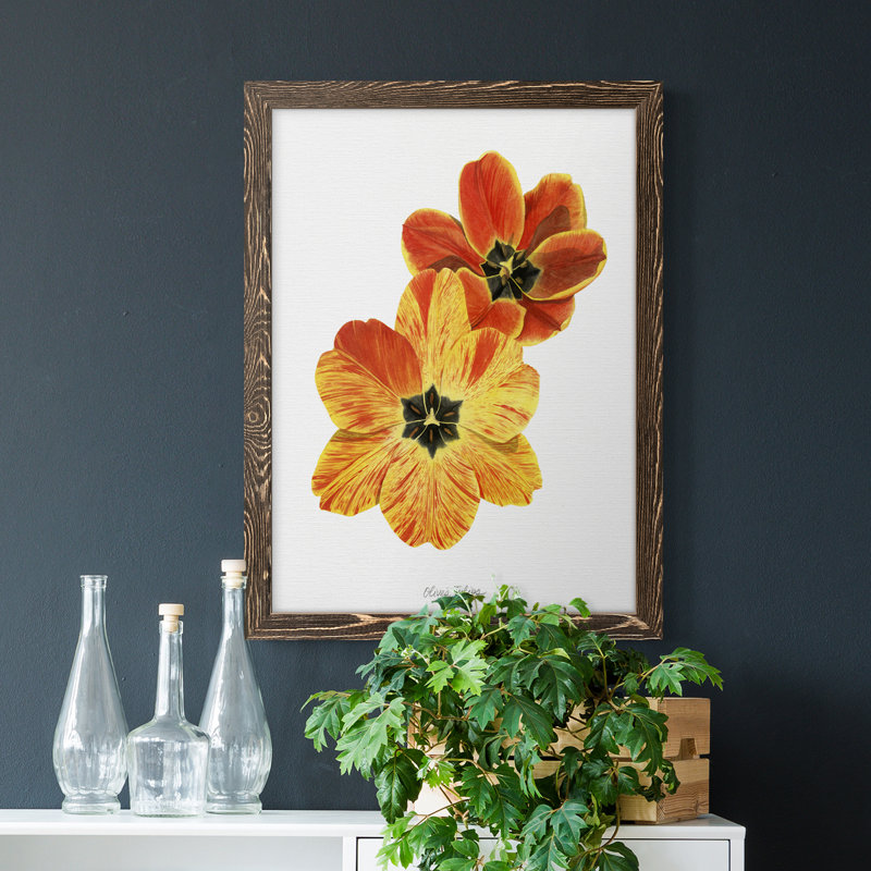Toile encadrée de qualité supérieure Olive's Tulips II - prête à être accrochée, H 20 po x l 17 po x P 1 po, Noyer