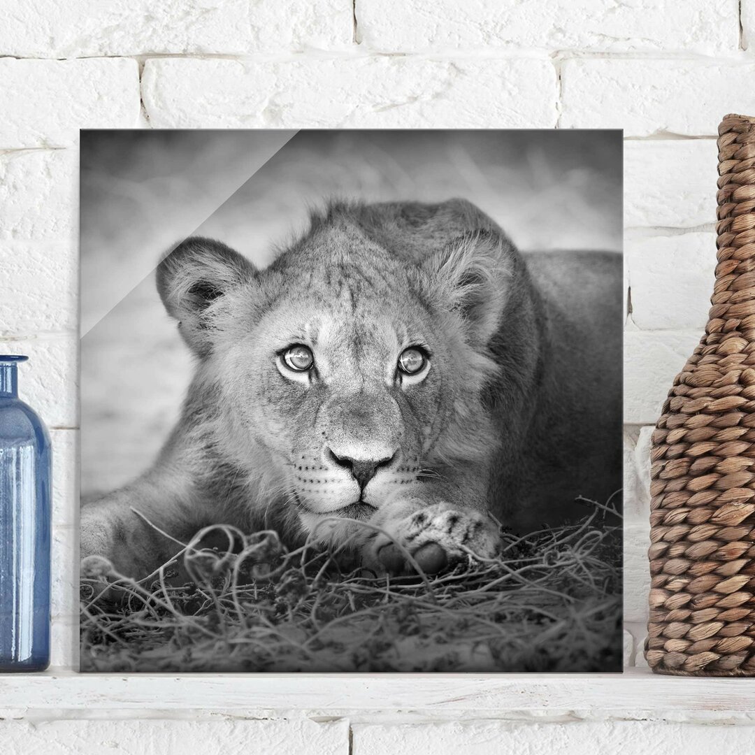 Glasbild Lurking Lurking Lion Baby