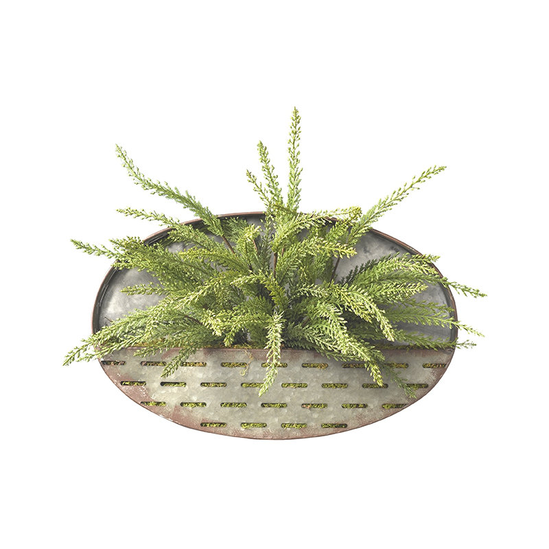 Plante suspendue à tringle heather
