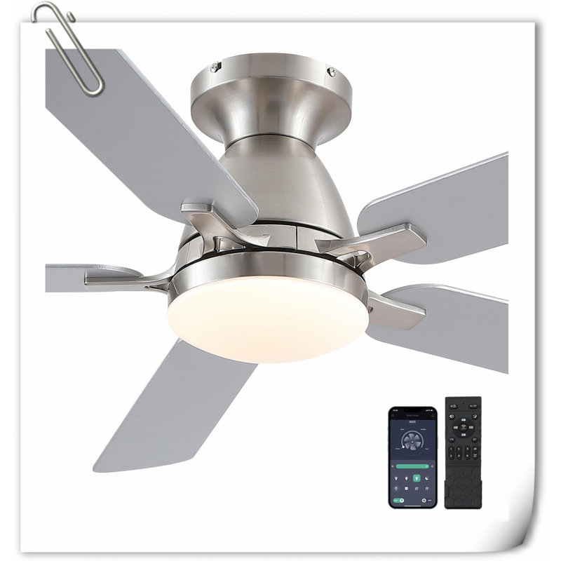 Ventilateur de plafond Museau, Argent