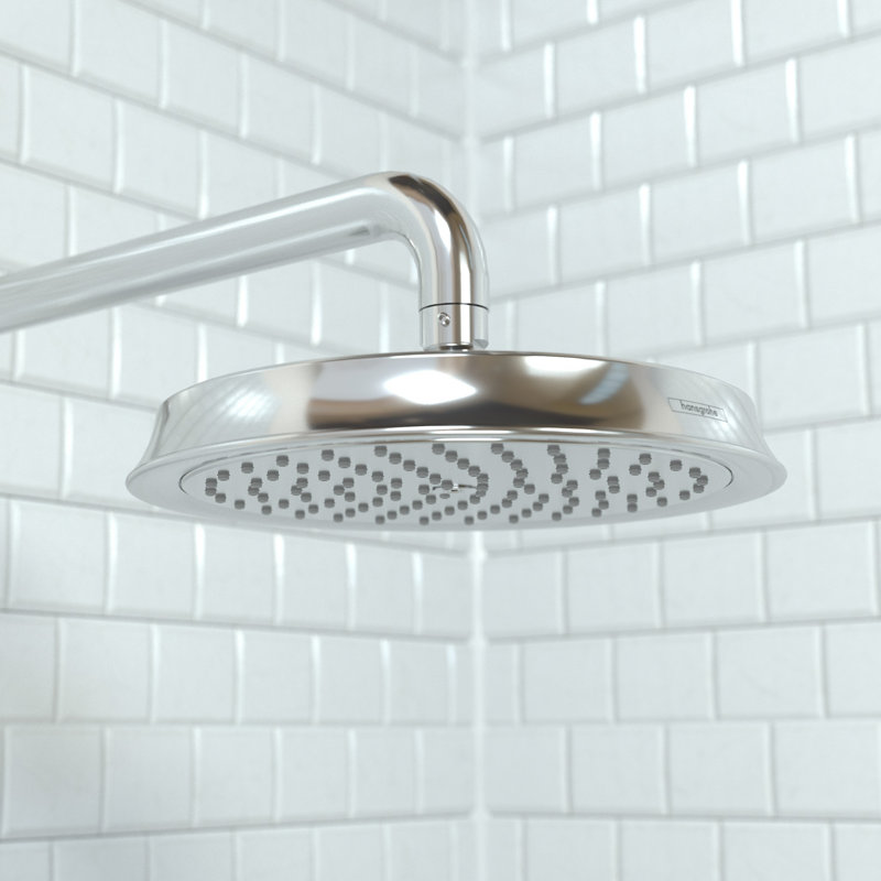 Raindance C 180 Rain Shower Head, Chrome