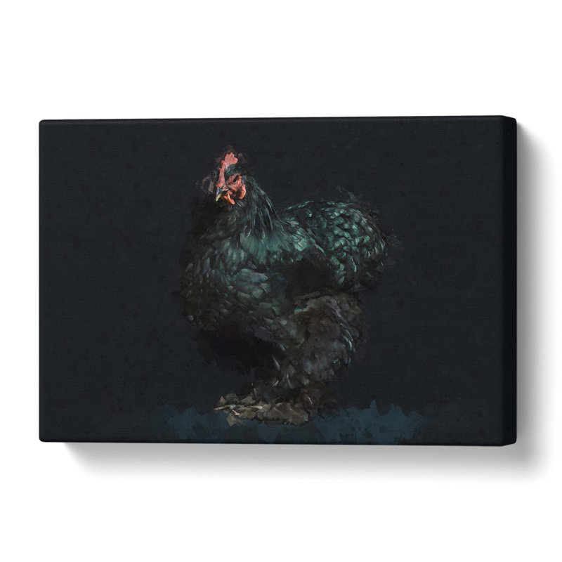 Black Rooster - Wrapped Canvas Print, 50.8 cm H x 35.6 cm W