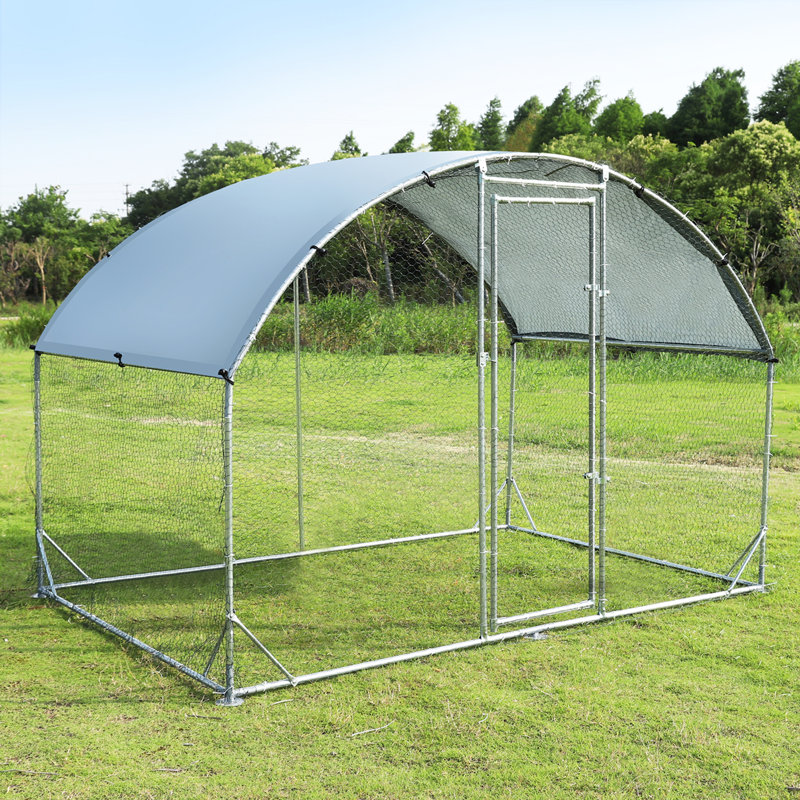 Elliya 57.26 Square Feet Chicken Coop For Up To 8 Chickens
