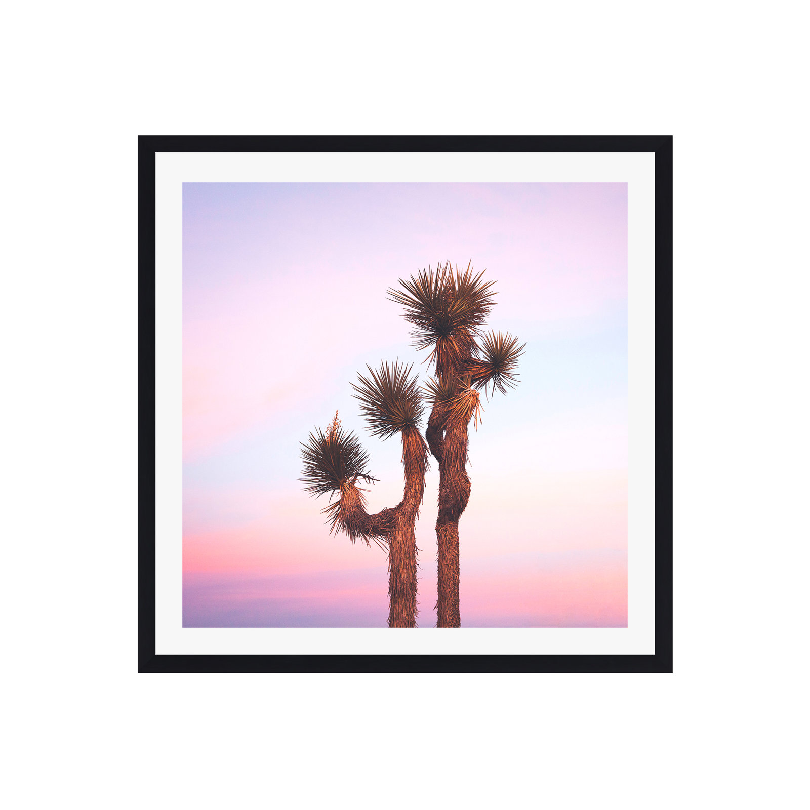 Desert Skies by Catherine McDonald, Black Single Picture Framed, Yes, 30" H x 30" W x 2" D