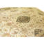 High-Quality Hand-Knotted Grey And Black Area Rug