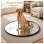 Glass Rectangle Wall Full Length Mirror