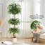 Plant-1309754139