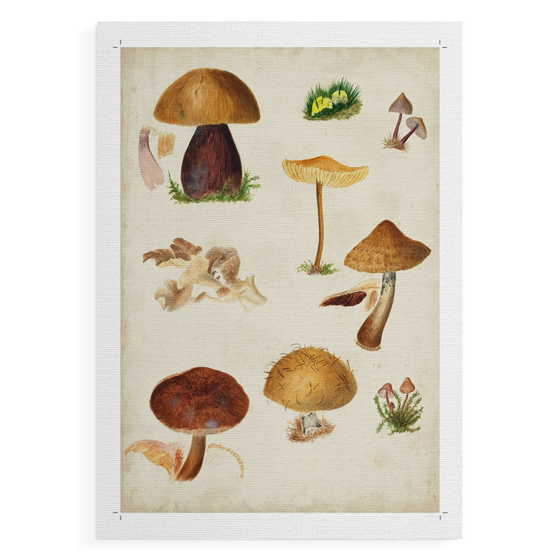 Champignon II - reproduction de toile seulement - NON-CADRE, H 48 po x l 32 po