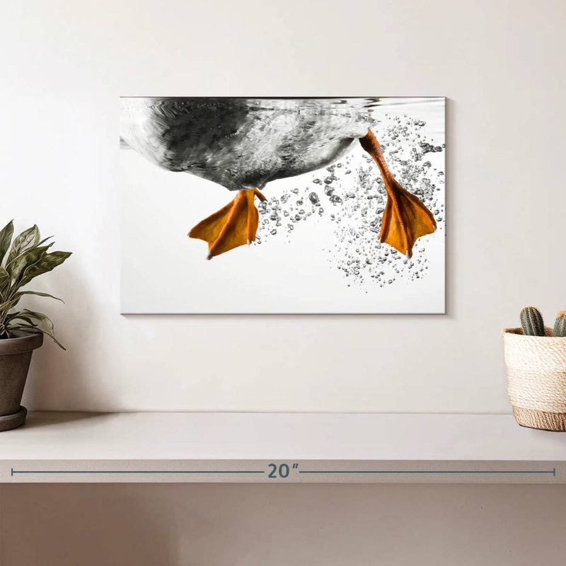 Brampt Duck Feet Underwater, 8" H x 12" W