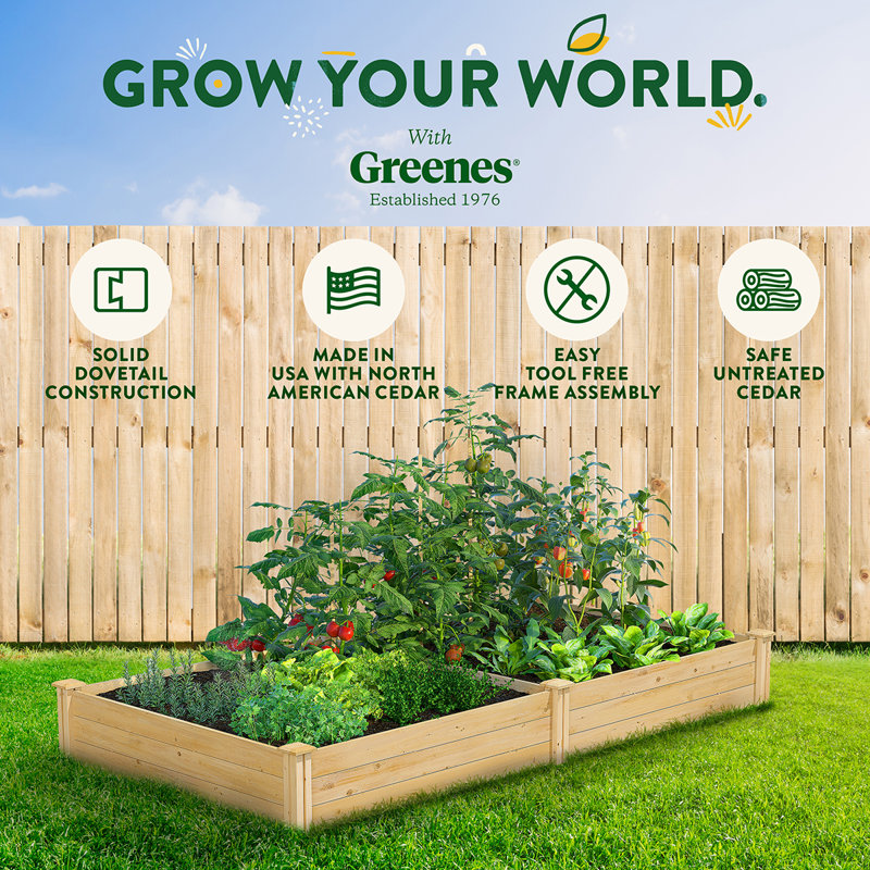Katsuyoshi Wood Raised Garden Bed, 10.5" H x 96" W x 48" D, Cedar