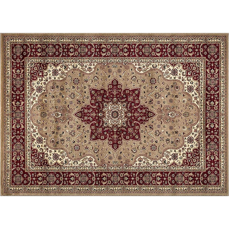 Aspynn Oriental Area Rug, Rectangle 60 x 110cm