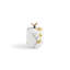 Butterfly Ginkgo Small Container