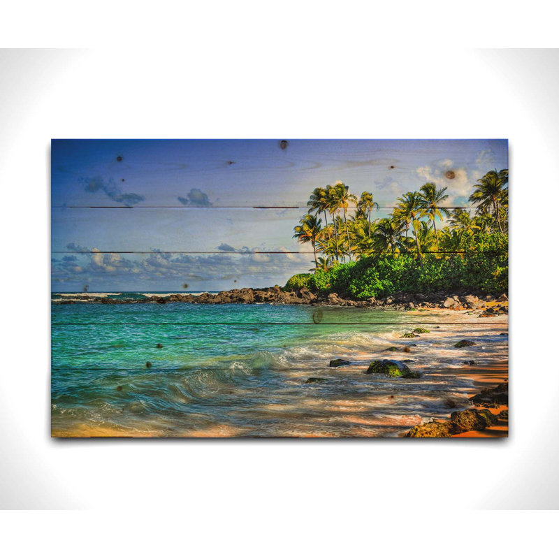 «Turtle Beach» par Kelly Wade sur, H 16 po x l 24 po