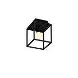 1 - Light Flush Mount