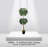 Handmade Artificial Olive Topiary Tree with Real Wood
