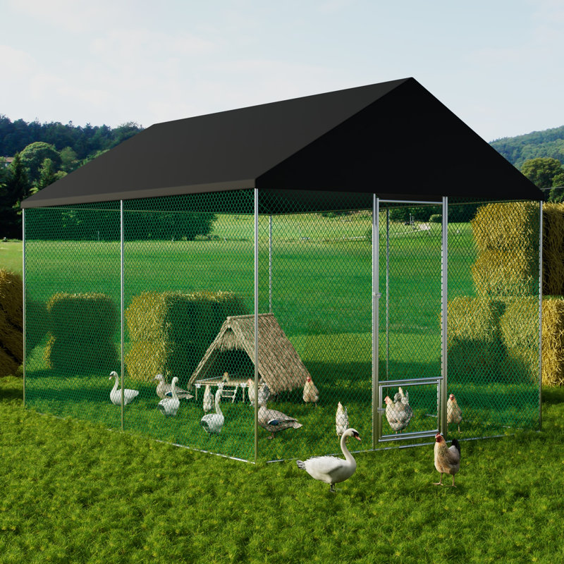 Snellville Chicken Run, 270cm H x 300cm W x 400cm D