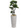 Panama 66'' Faux Bonsai Tree in Fiberstone Planter