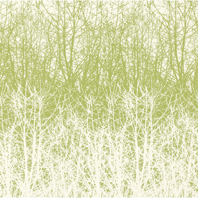 Birches Wallpaper