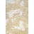 Dailah Abstract Two-Tone Modern Gold/Cream Rug-69807263