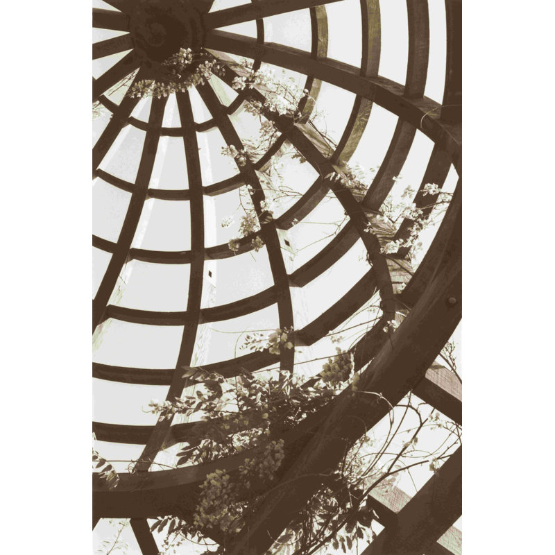 " Pergola Basket " by Meg McComb, 48" H x 32" W  