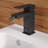 Concorde Bidet Faucet-53509425