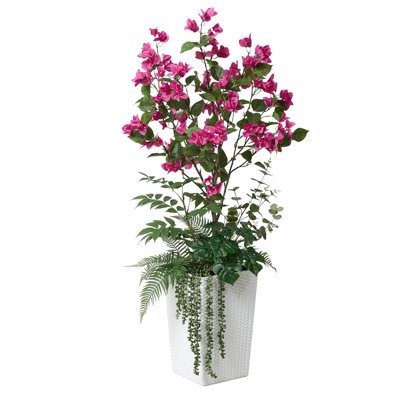 Adcock 48" Bougainvillea Tree in Planter