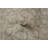 Ambrianna Chenille Geometric Indoor Rug