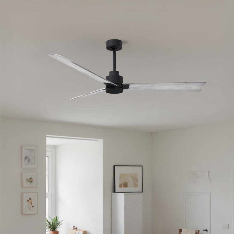 Ventilateur de plafond Alessandra, Ton de bois de grange, Noir mat