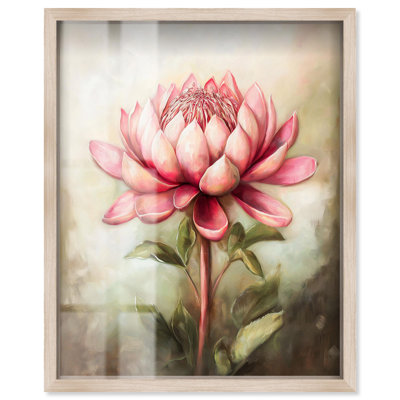 Décoration murale pétale prisme Protea I Shadowbox Print Spring par Art Remedy