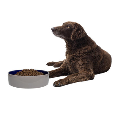 Standard Crock Dish - Heavy Duty, Non-Slip, Round Ceramic Food/Water Bowl For Pets, Ideal