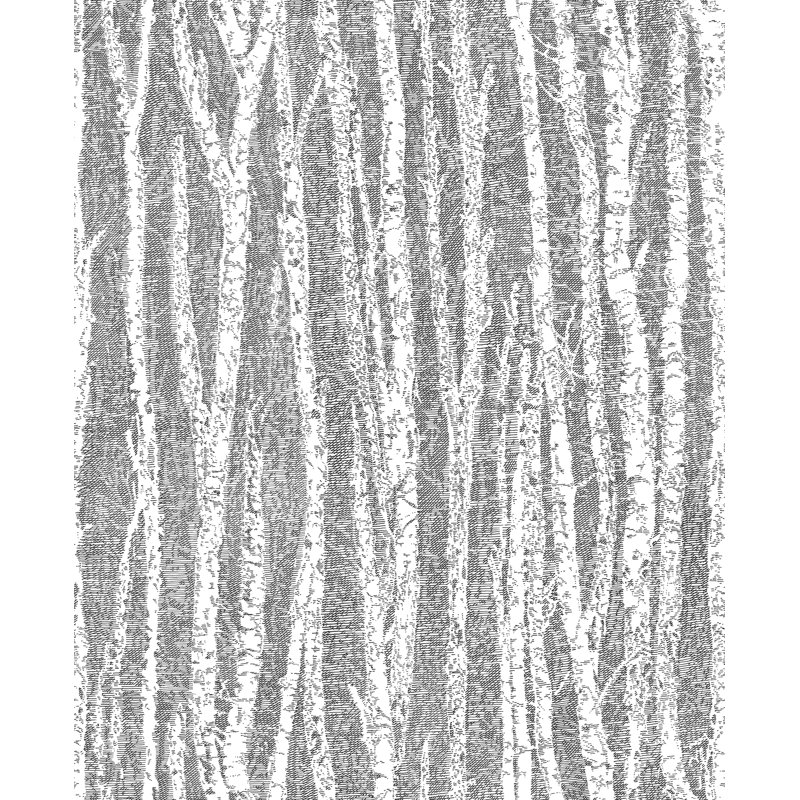 Rouleau de papier peint L 33 pi x l 20,5 po Arthur, Noir