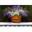 Lilas de Nantucket ISI-red017x-754488135