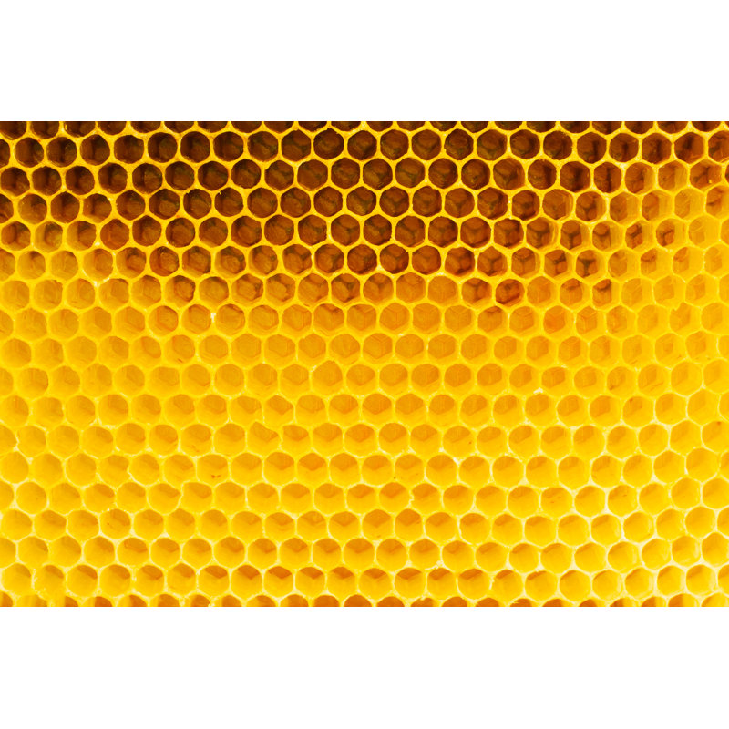 Lincolnshire Honeycomb - Wrapped Canvas Print, 30cm H x 46cm W x 3.8cm D