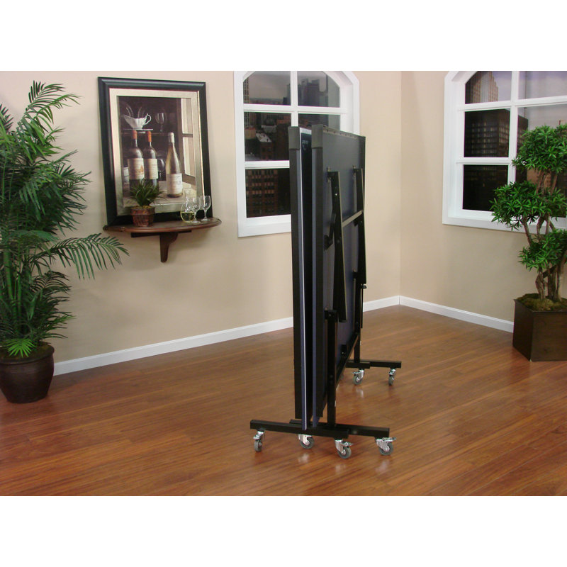 Drop Shot Home Entertainment Playback Tennis Table