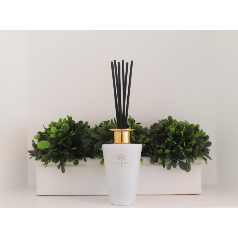 Plant / Floral Diffuser