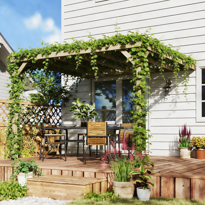 Pergola, 215cm H x 300cm W x 298cm D