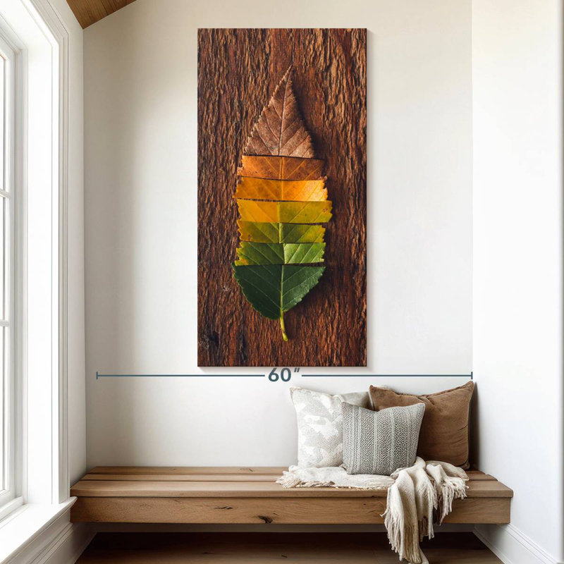 Fall Leaf Colors