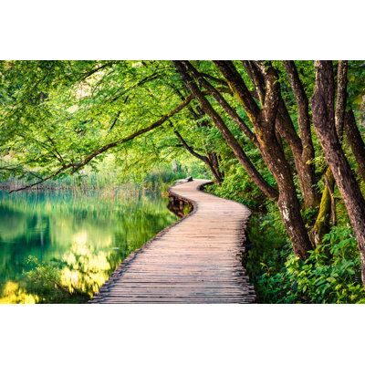 Lynse Plitvice National Park 1 Piece Wrapped Canvas Wall Art