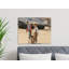Philpot Wrapped Canvas Print Set-472876080