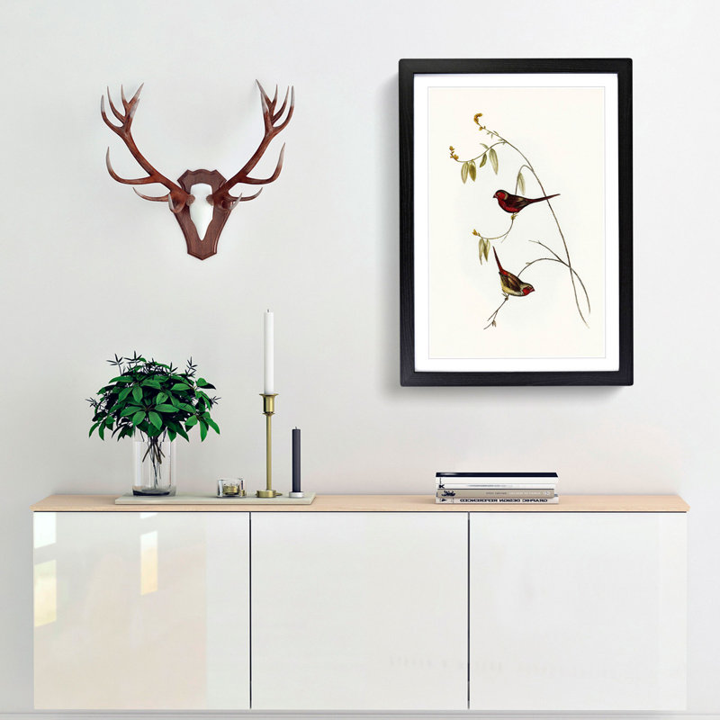 Crimson Finch by Elizabeth Gould - Framed Print, 65cm H x 48cm W x 2cm D, Black Framed