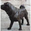 Figurine Silviu