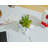 Sanrio Cinnamoroll Ceramic Mini Planter With Artificial Succulent