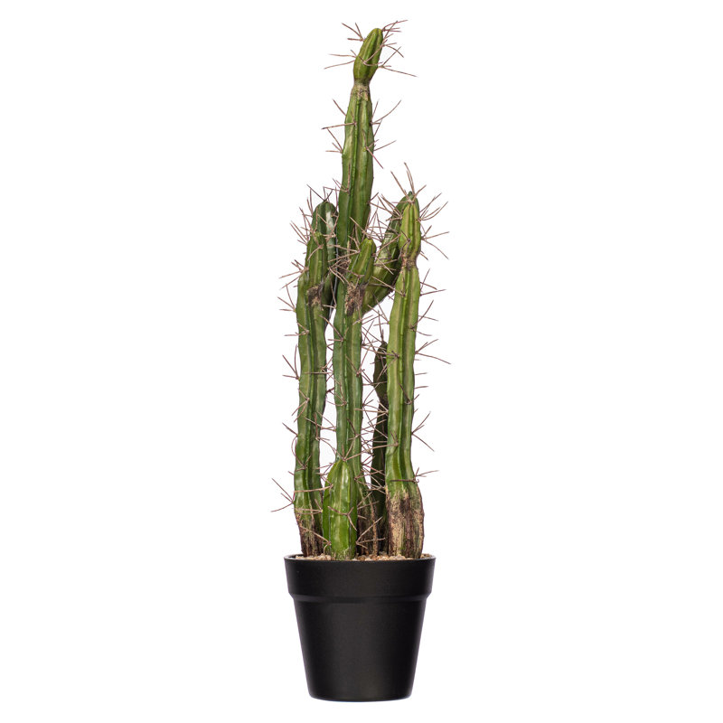 Cactus artificiel vert, pot de fleurs en plastique noir, H 24 po x l 5 po x P 8 po