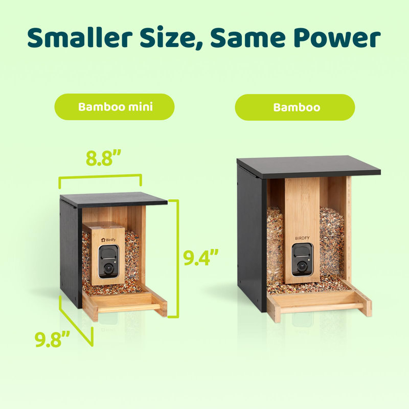 Birdfy Bamboo Bird Feeder Mini - Outdoor Birdwatching, 1080P HD Video, Full-Colour Night Vision, 7-Day Free AI Trial, Perfect Gift for Bird Lover