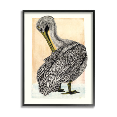 Dessin détaillé de pélican par Liz Sunridge