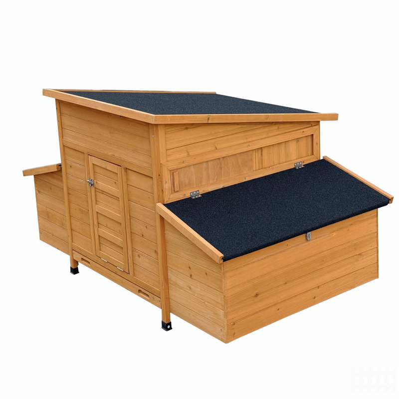 Chicken Coop