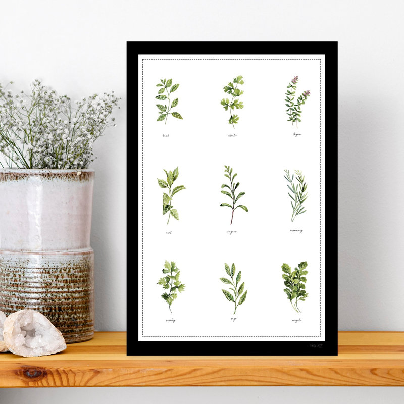 Garden Herbs by Cindy Jacobs - Wrapped Canvas Print, 45.72cm H x 30.48cm W