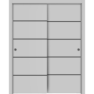 Portes coulissantes de placard Planum 0015 Gris mat, rails robustes, moulures, garnitures, quincaillerie, bois massif, portes de placard de chambre à coucher - 48 po x 80 po (2 x 24 x 80)