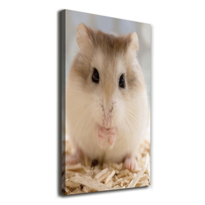 Hamster - Wrapped Canvas Print